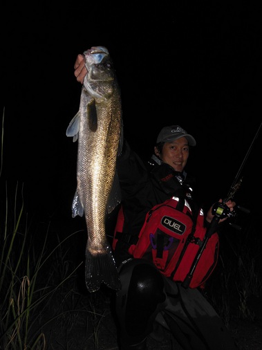 katou20170720 (6)-thumb-